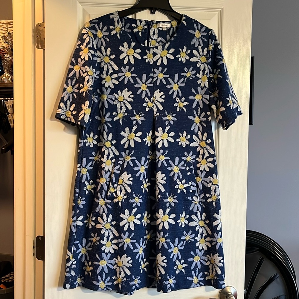 Tyler Boe Daisy Dress